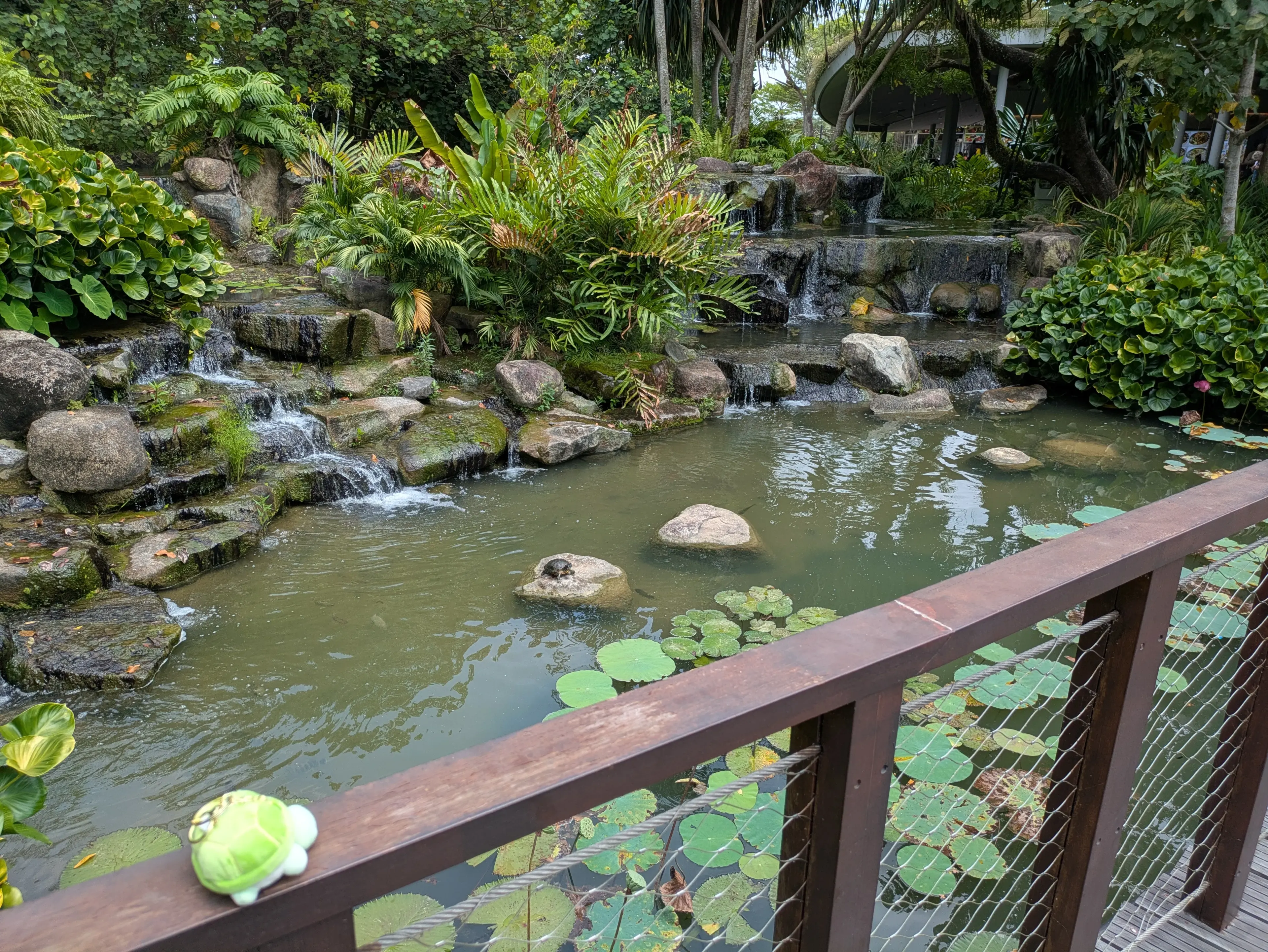 caption: Altro simile avvistato Altro simile avvistato