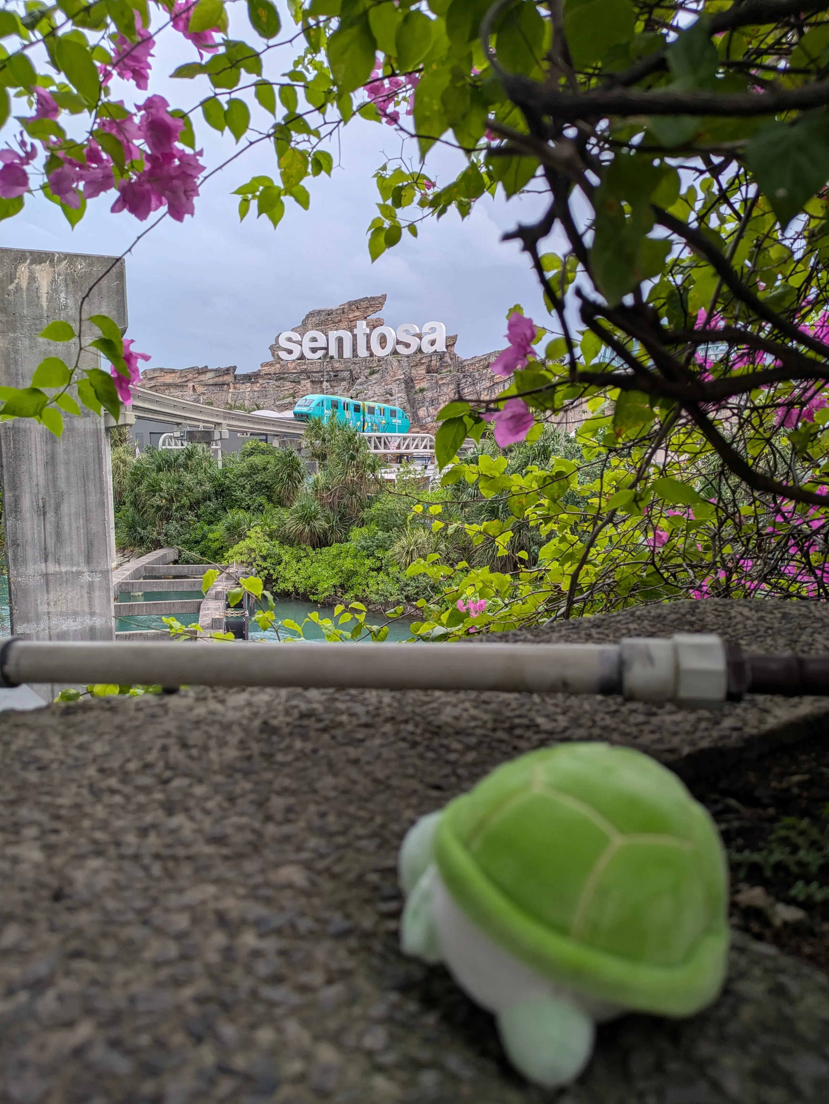 caption: Una finestrella sull'isola di Sentosa Una finestrella sull'isola di Sentosa