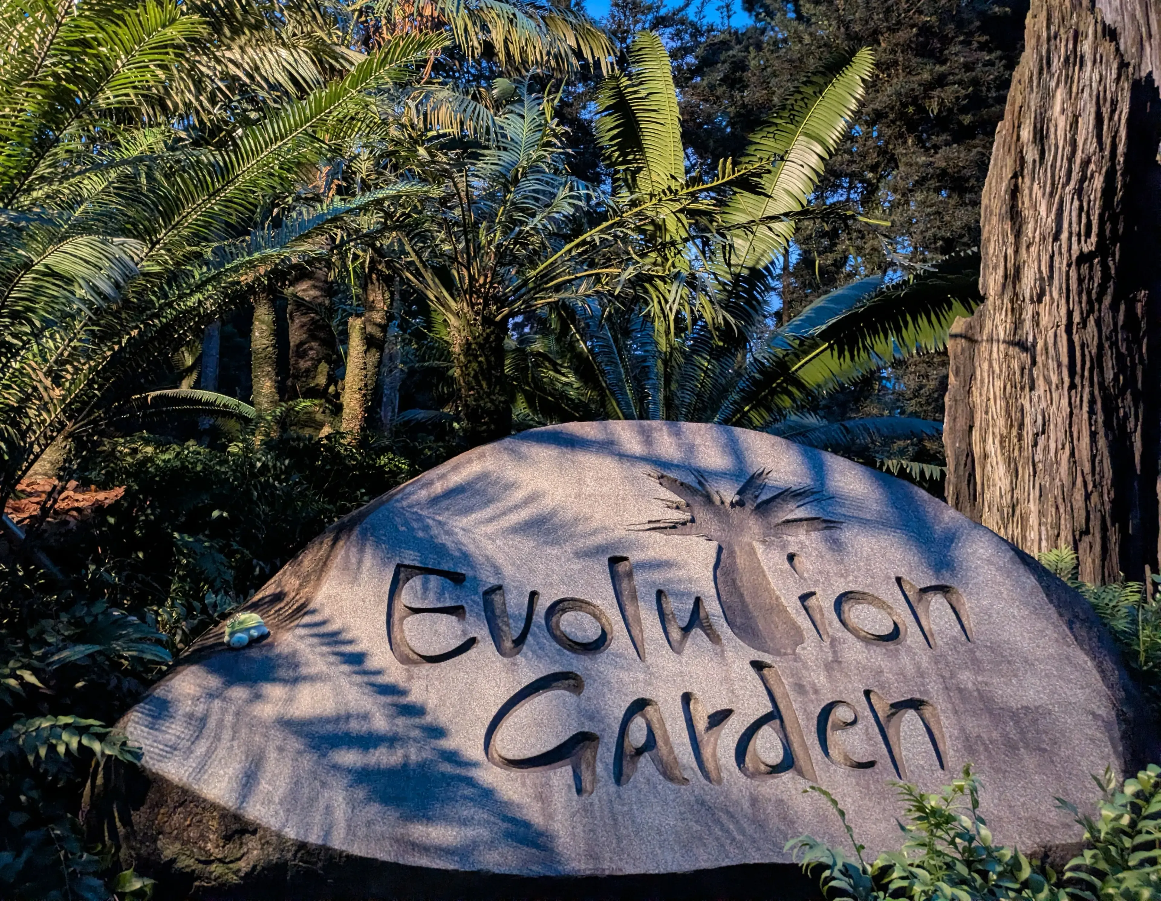 caption: Carcinizzazione Carcinizzazione