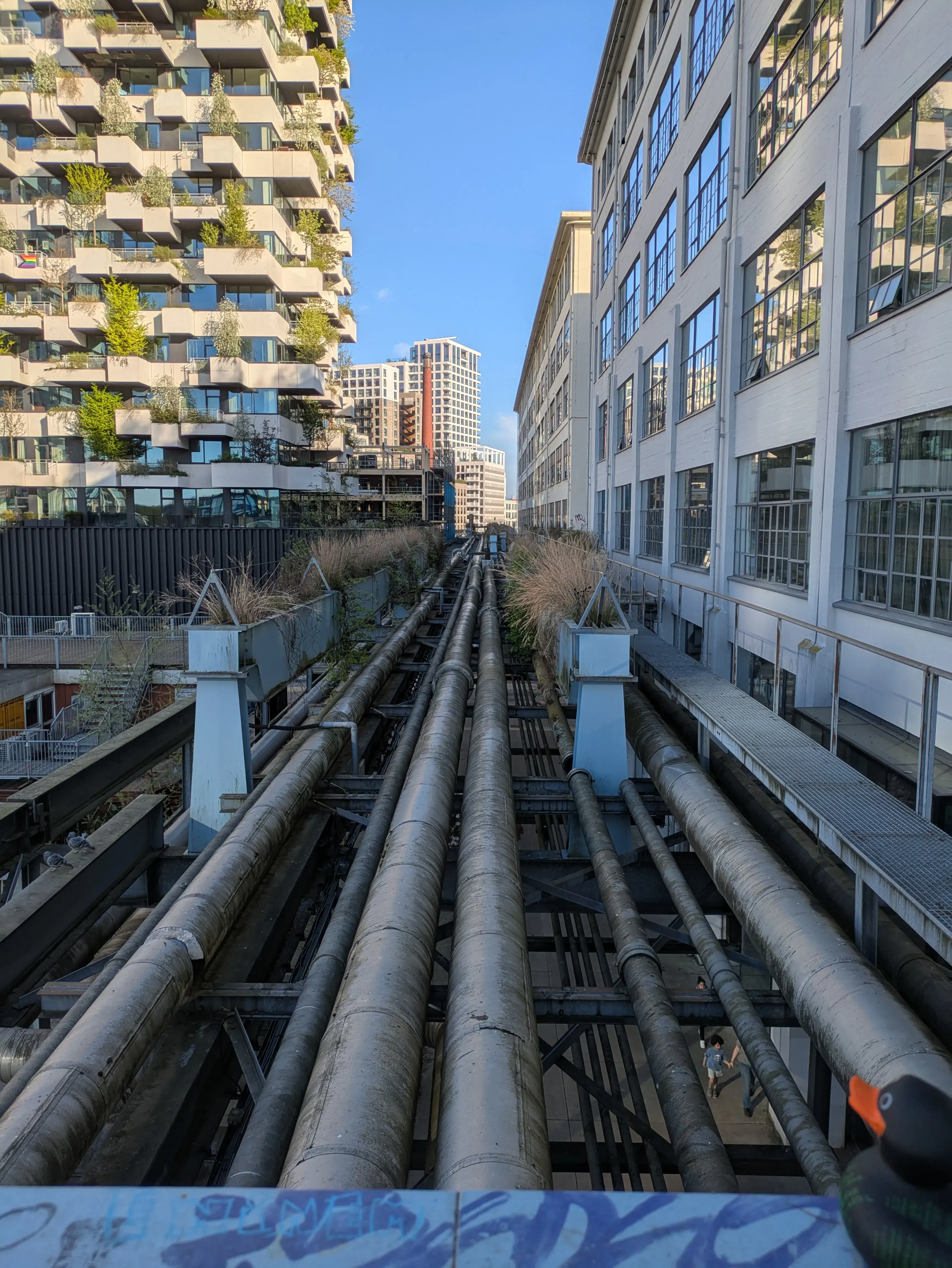 Chissà se quella sezione è effettivamente esplorabile