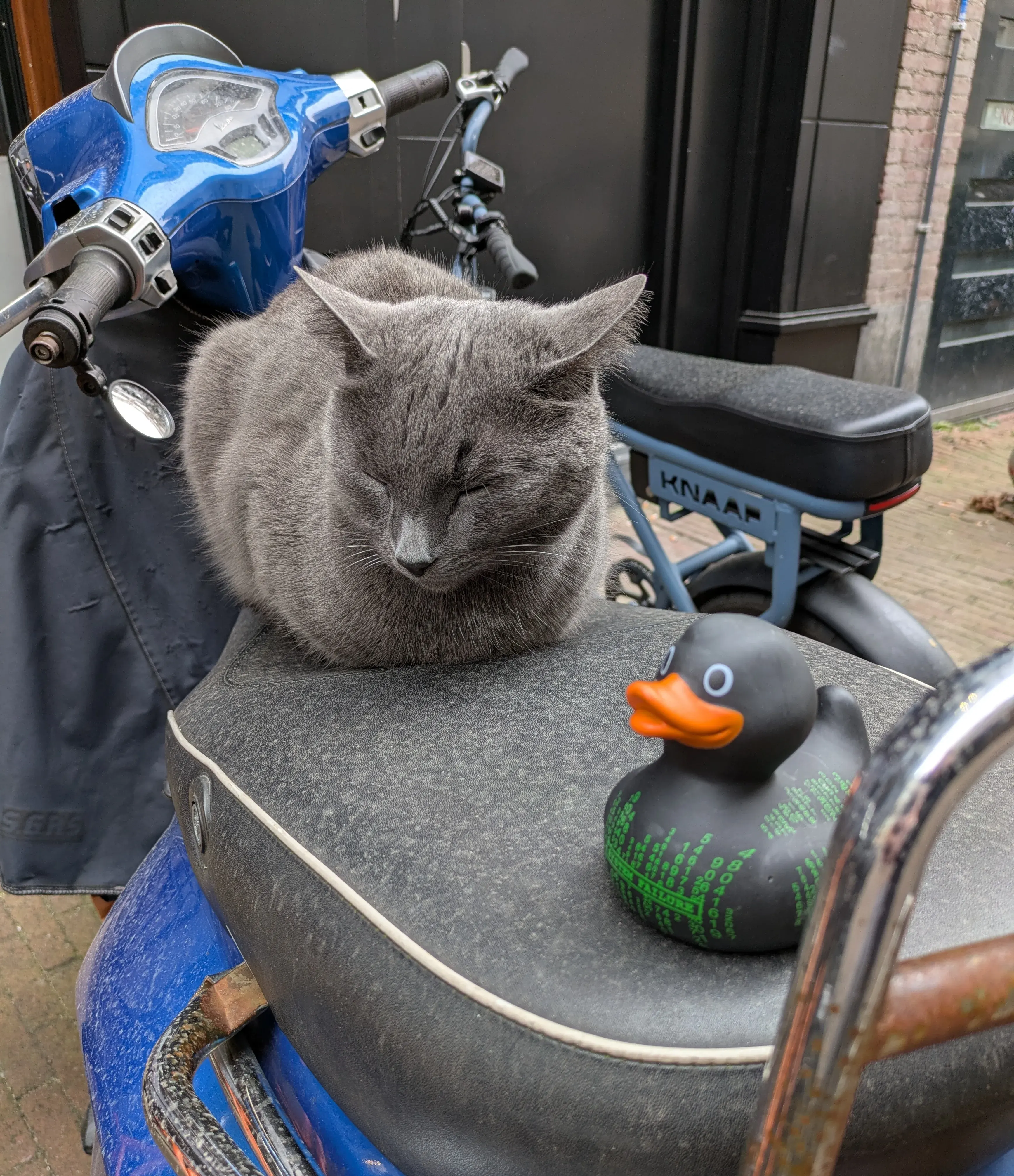 Un po' di meritato riposo